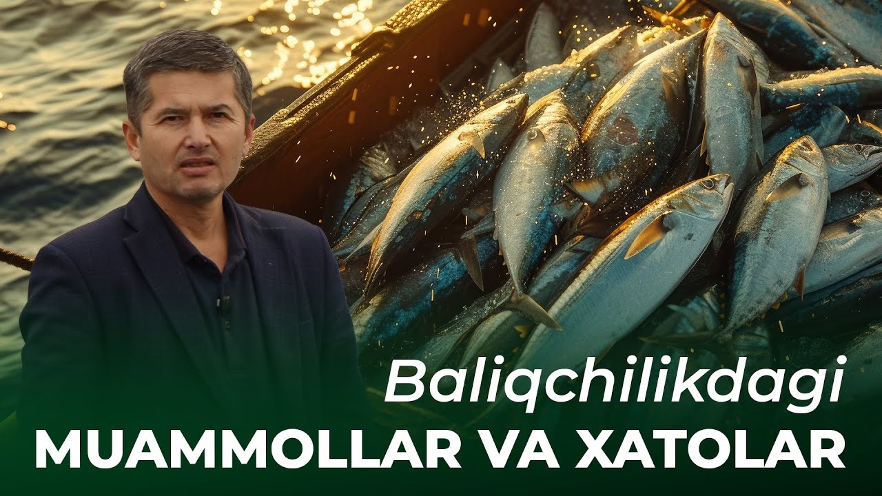 ‼️ BALIQCHILIKDA BU XATONI QILMANG! BIZNES ZARARGA KIRADI #agroblog #agromaslahat #agropodcast 