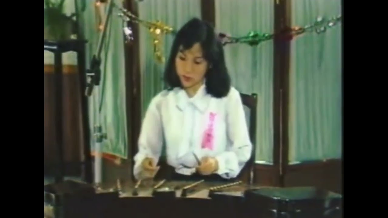 廣東音樂《昭君怨》__趙莉莉扬琴獨奏