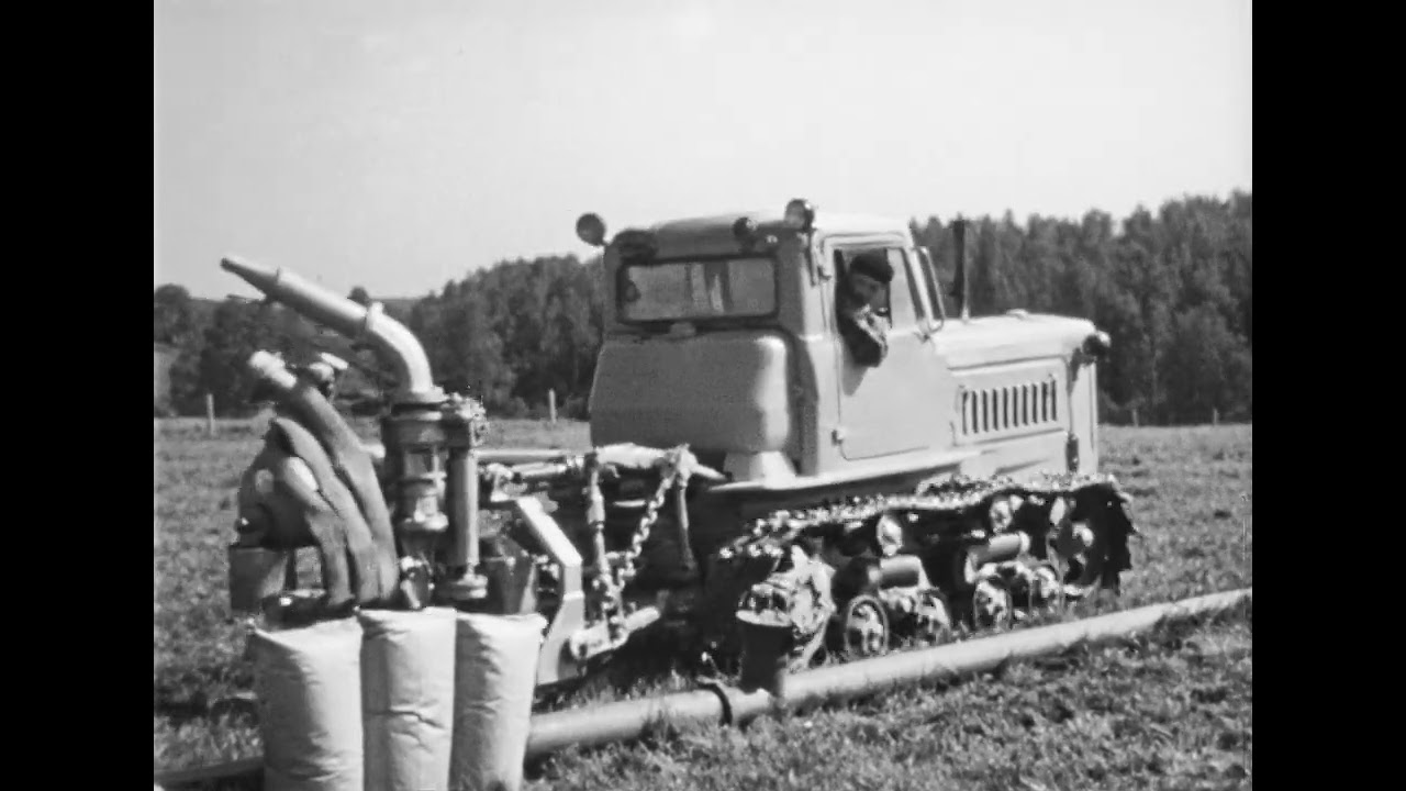 На пастбищах Подмосковья, 1974
