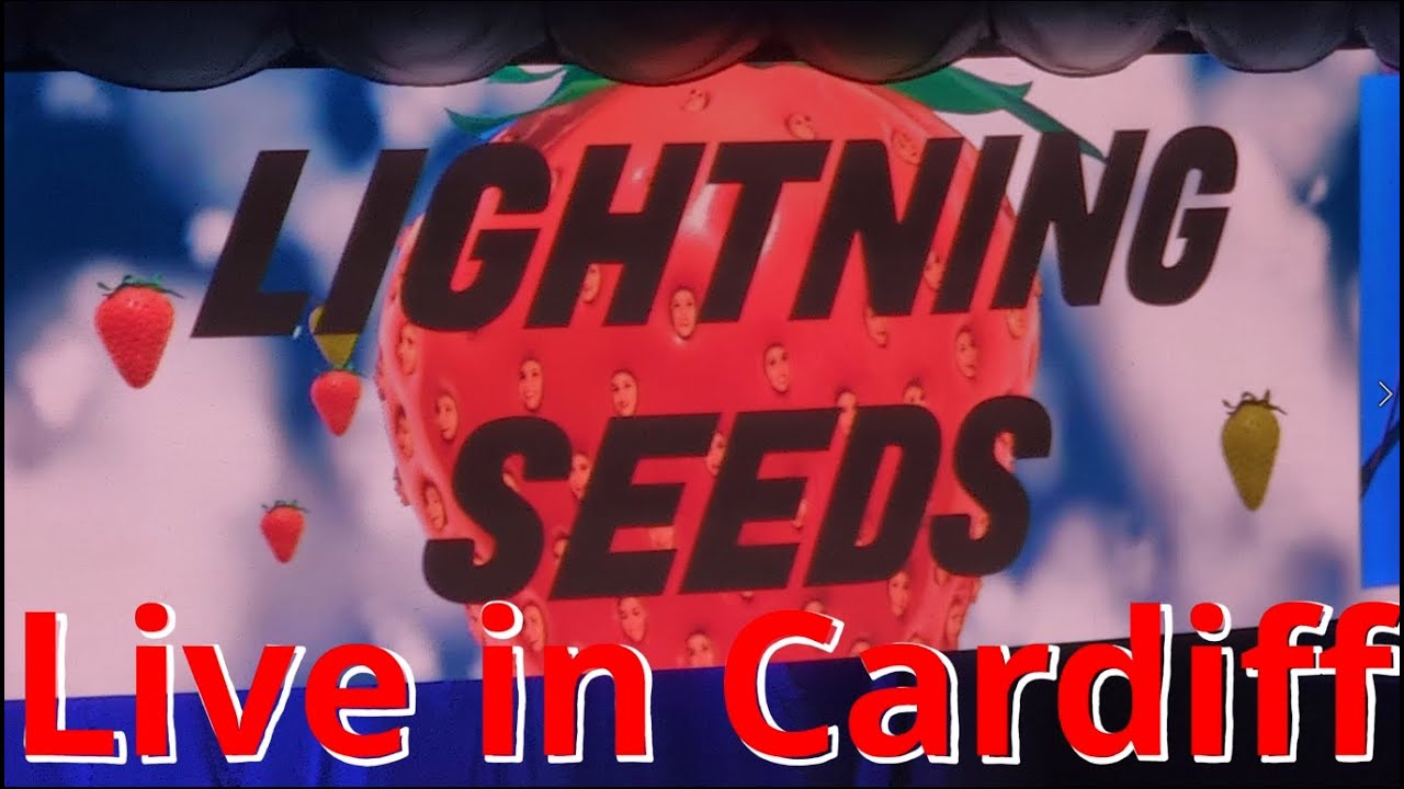 Lightning Seeds Live - 4th Dec 2023 in Cardiff UK