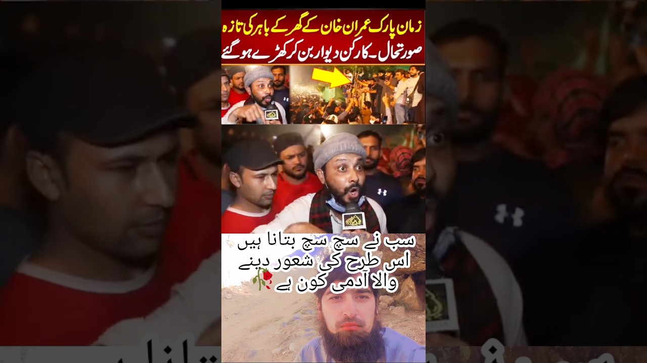 خواجہ آصف کی کل کی تقریر پر اس بھائ نے ن کی اصلیت بتایا💔