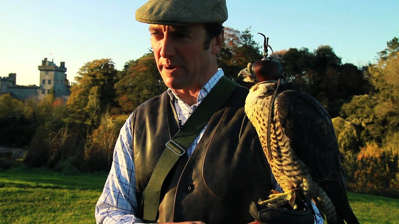 Irish Falconry