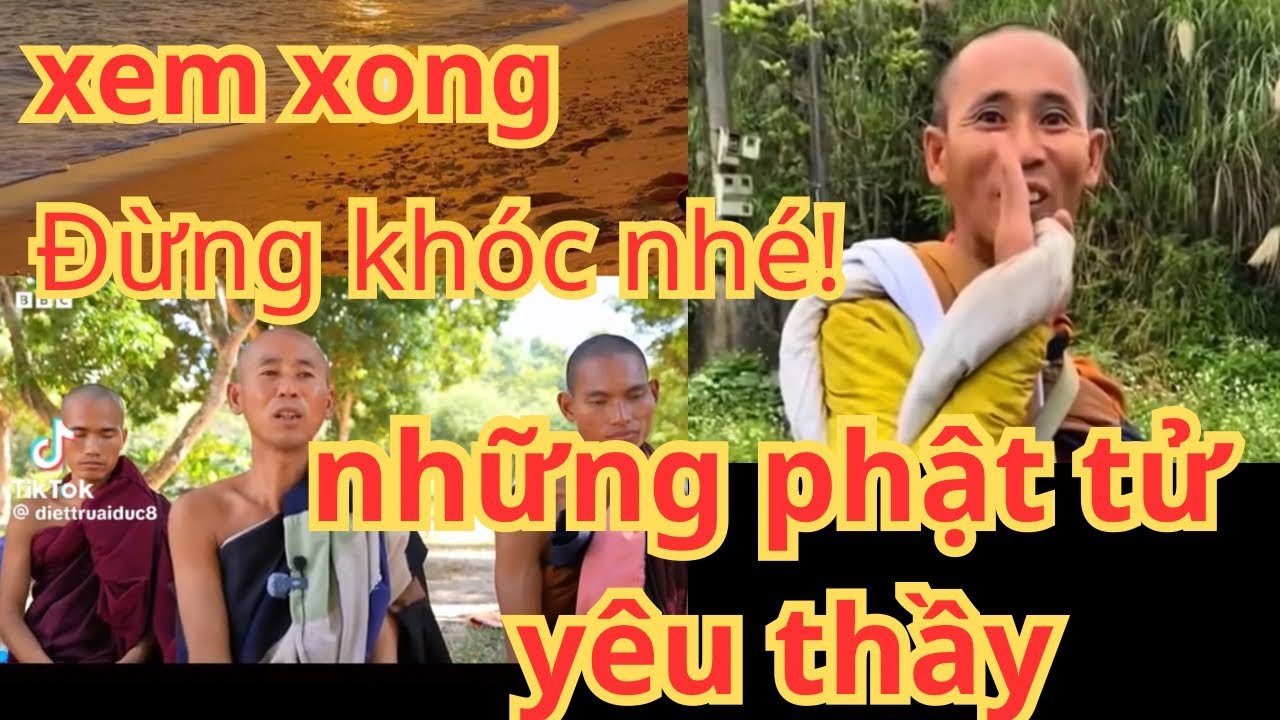 Video chỉ dành cho những người thật lòng yêu kính sư Minh tuệ❤️
