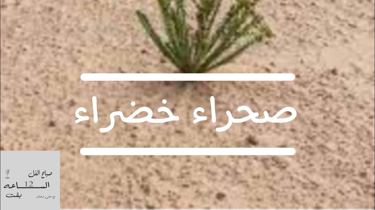 -صحراء خضراء- ( الساعة بقت ١٢)