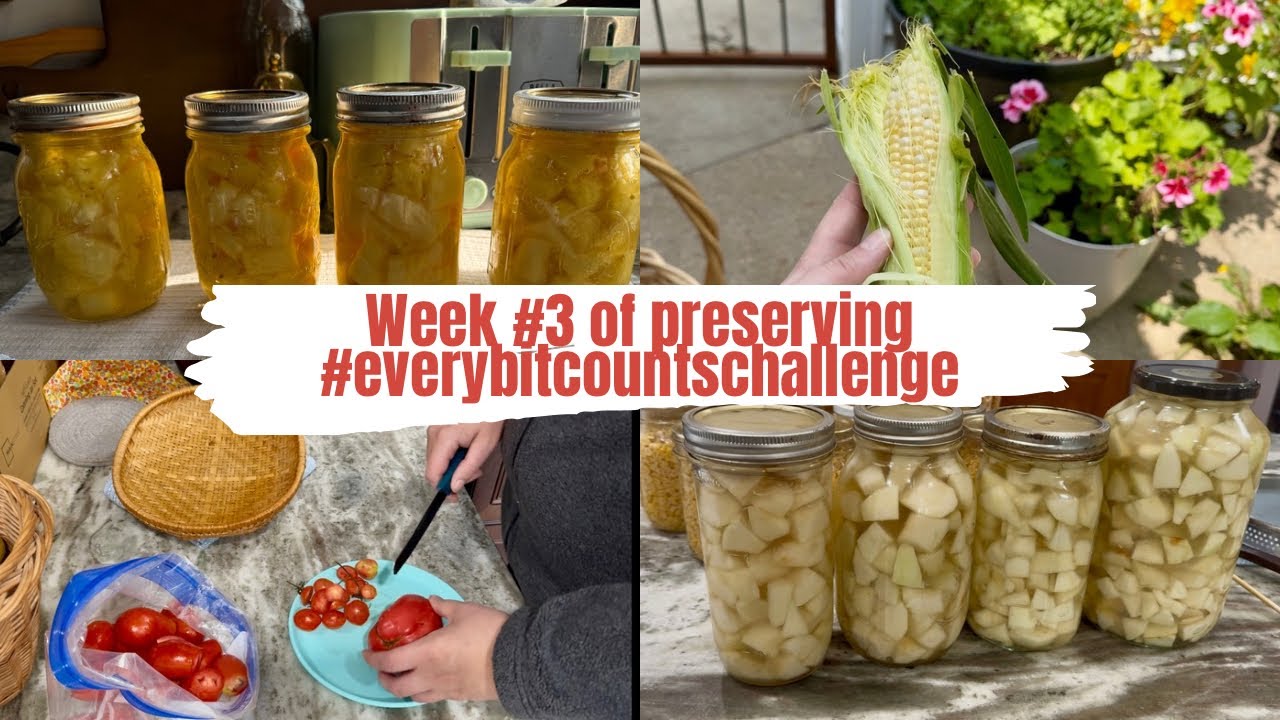 Week #3 of Preserving 