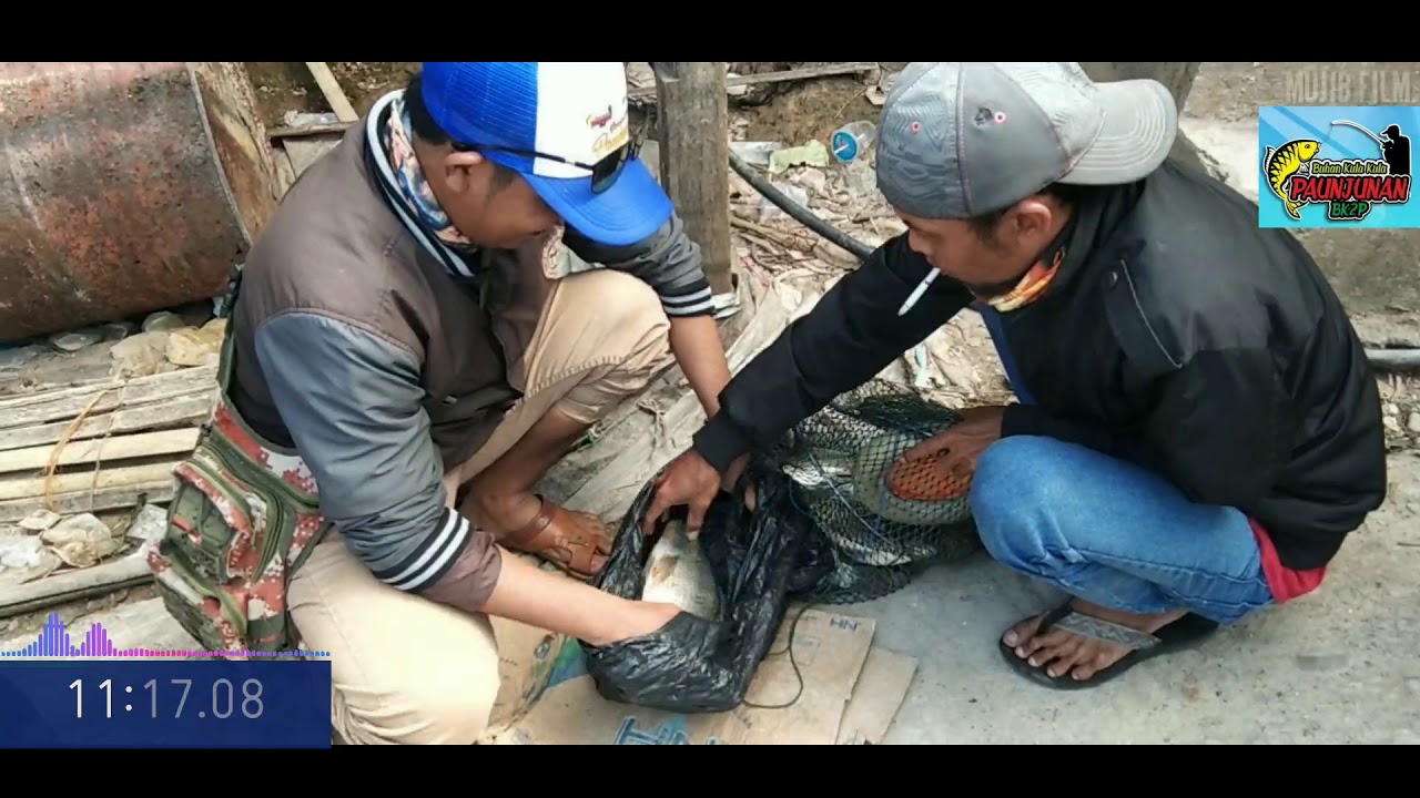 Ulang tahun yang kedua bk2p