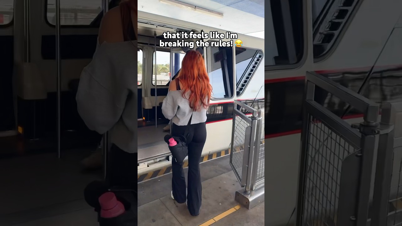 Disney World Monorail HACK