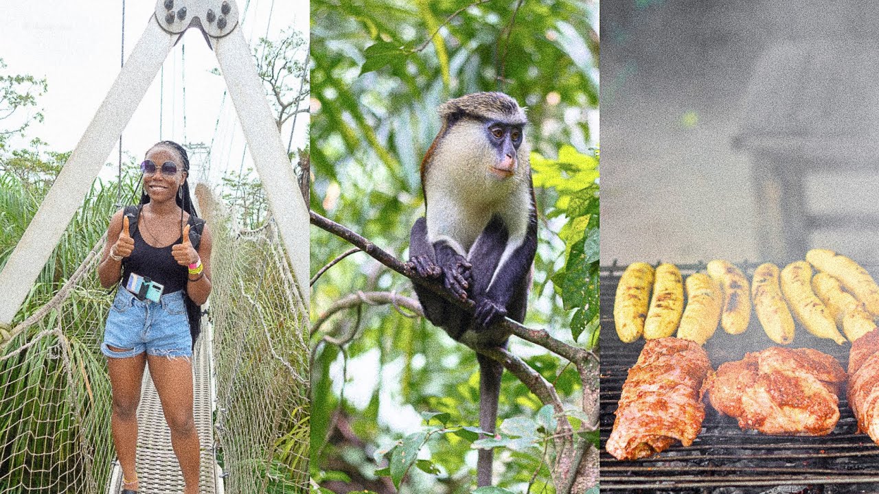 All you need to know about Lekki Conservation Centre, Lagos Nigeria.