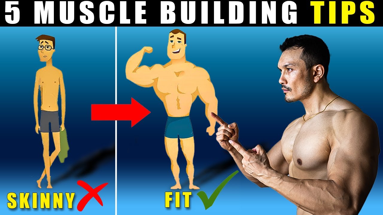 5 BEST TIPS For MUSCLE BUILDING (SKINNY PEOPLE) |पतले लोग यह 5 टिप्स फॉलो करें|