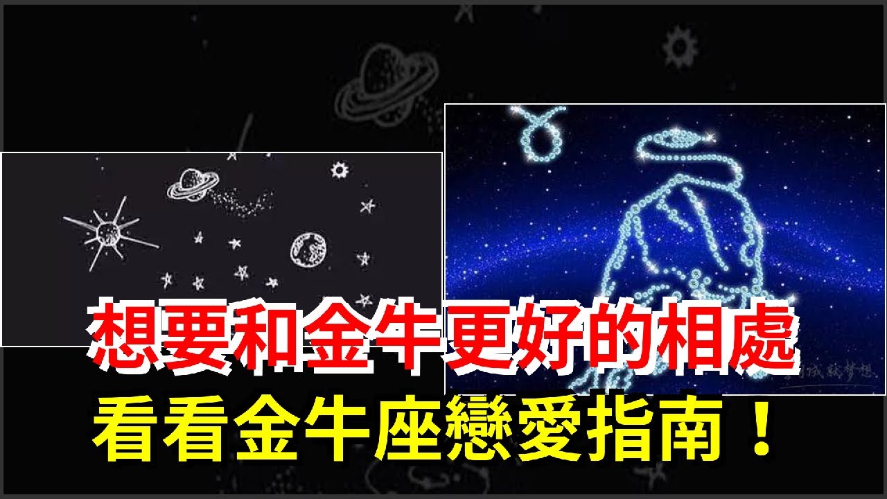 想要和金牛更好的相處，看看金牛座戀愛指南！，[星座運勢大全]