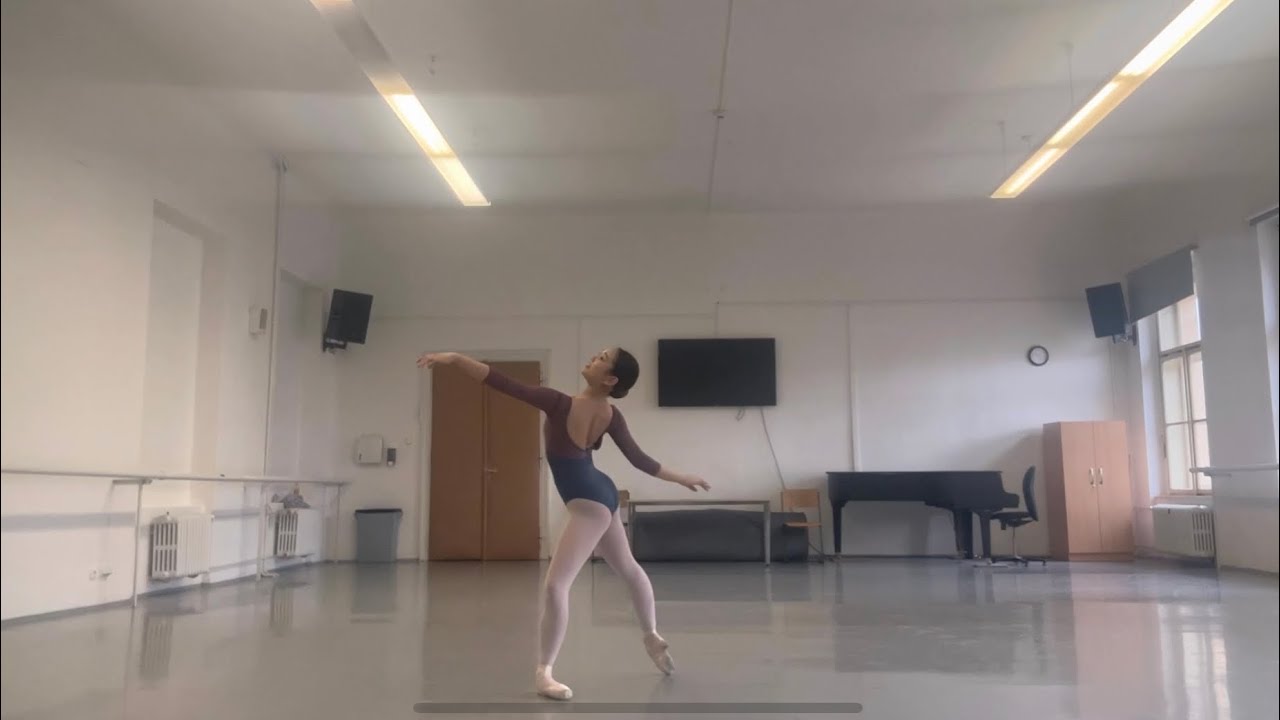 Ballet Company Audition Video  Keito Ijiri : Barre and Center Lesson