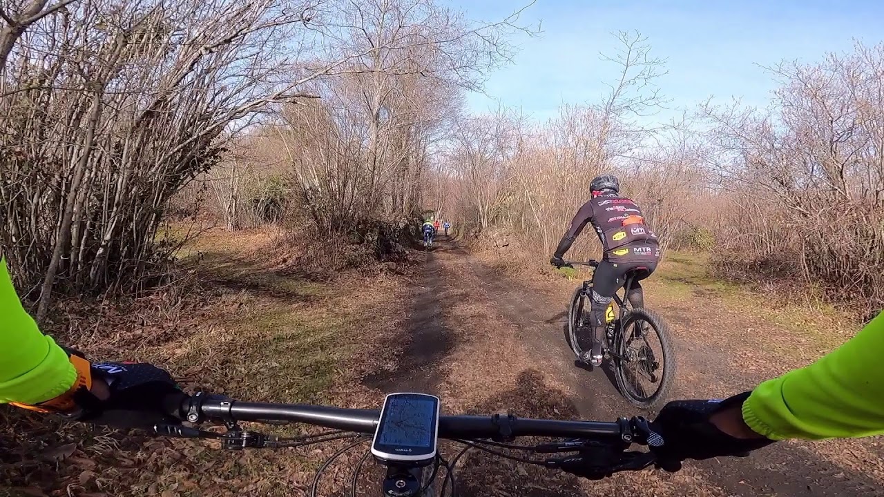 pedalando
