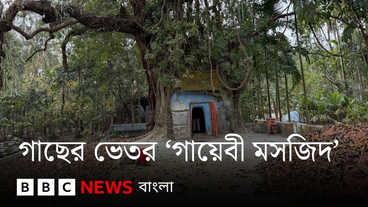 গাছের ভেতর 'গায়েবি মসজিদ', সর্বোচ্চ চারজন নামাজ পড়তে পারেন যেখানে | BBC Bangla
