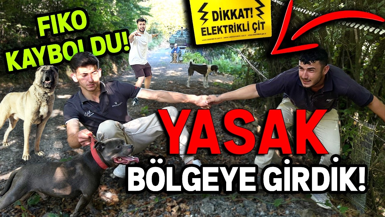 FİKOYLA ORMANDA YASAKLI B&Ouml;LGEYE GİRDİK! - (FİKO KAYBOLDU!)