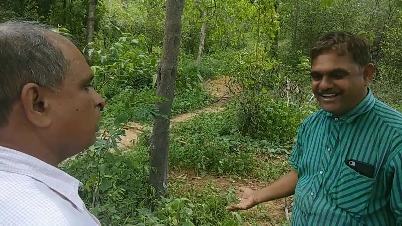 Tips and advice from Mr.Mishra regarding sandalwood farming ( Kavitha Mishra Sandalwood farming)
