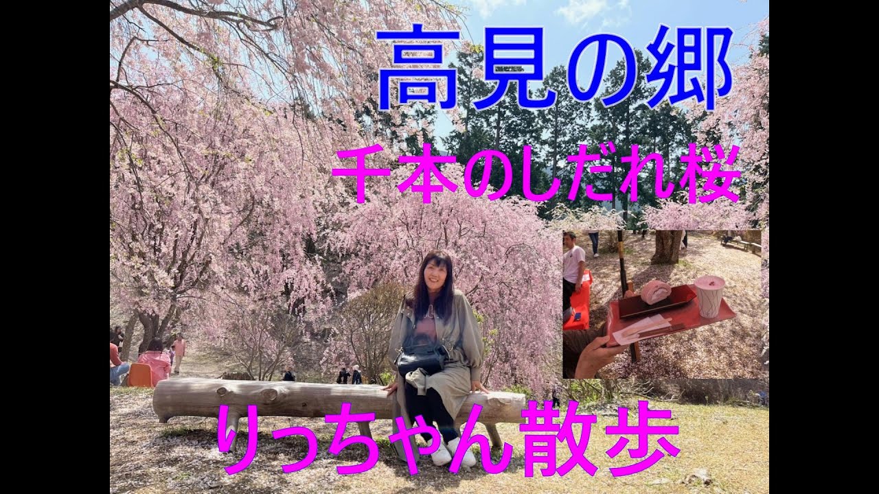 高見の郷  1000本のしだれ桜と山々の絶景を楽しめる天空の庭