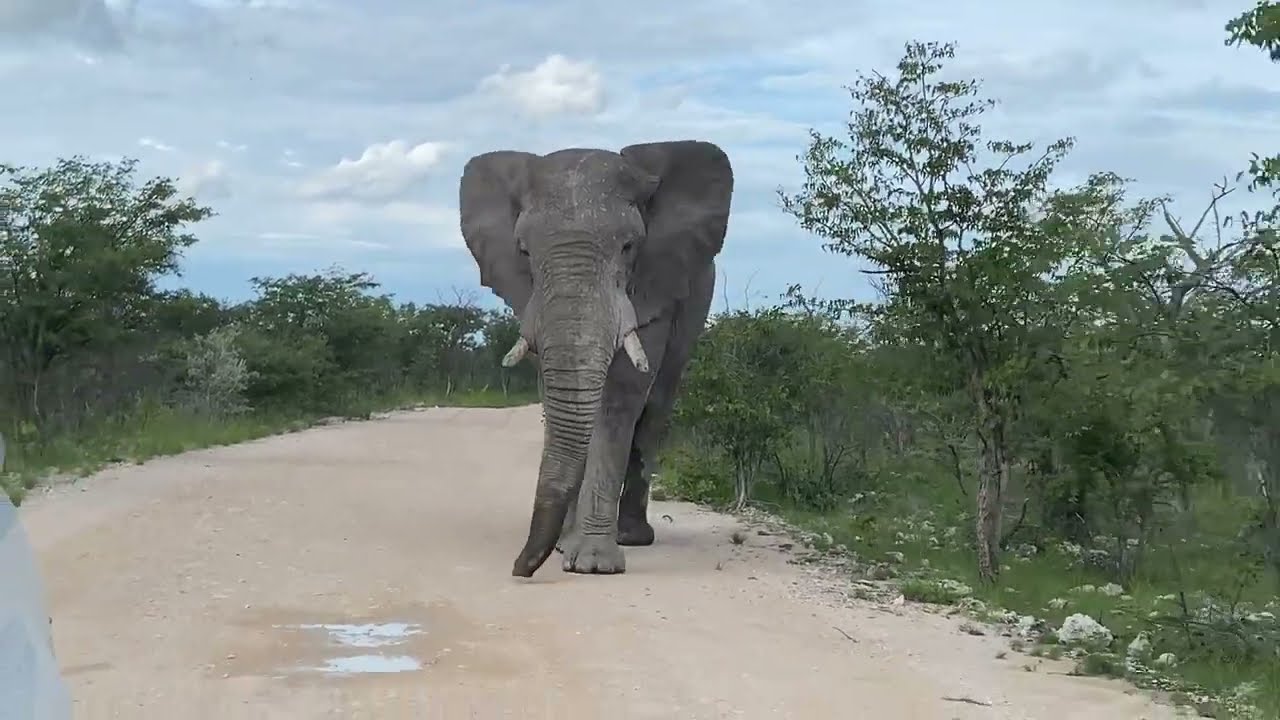 Namibia 2024 - Appetizer - unsere Reise ab dem 19. März 2024