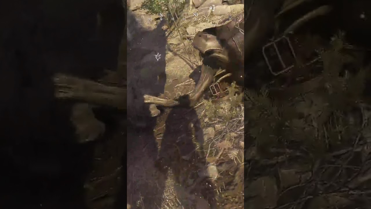 Gator legs has some hops actually | 
