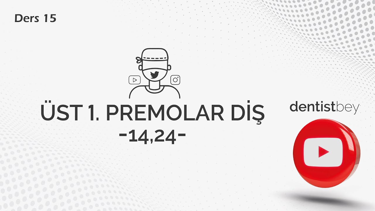 DERS-15 ÜST 1.PREMOLAR DİŞLERİN ÖZELLİKLERİ (14-24)