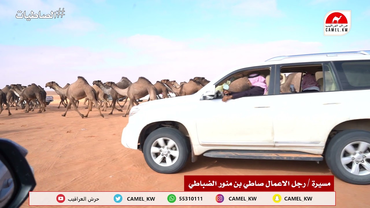 مسيرة منقية / صاطي بن منور الضباطي