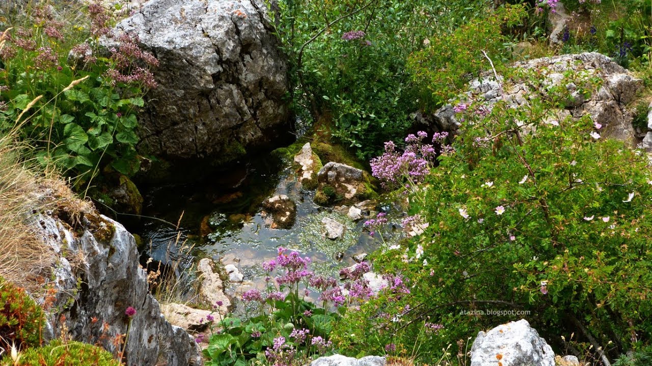 Fuente del Cobre - Monta&ntilde;a Palentina