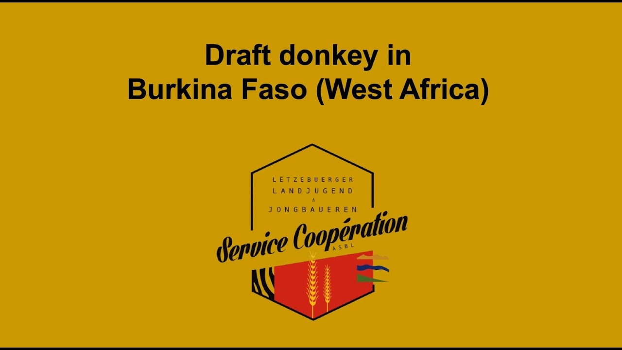 The introduction of Draft Donkey in Burkina Faso, West Afrika*