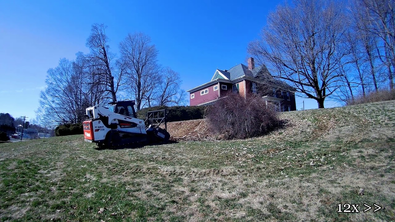 Forestry Mulching In Town