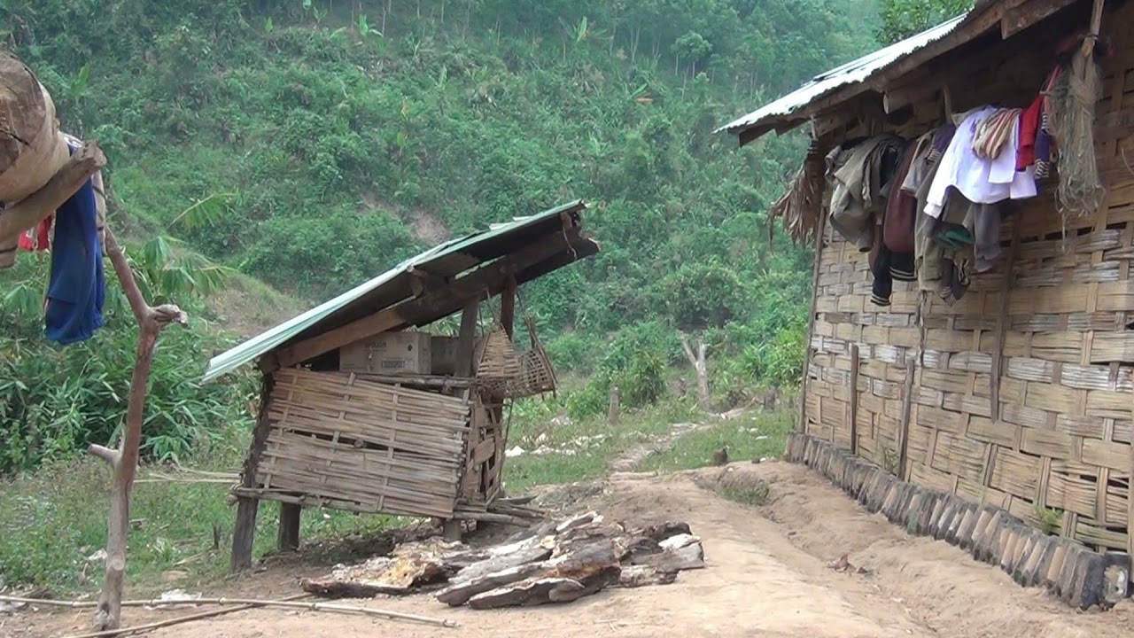 Laos   On the way   Luang Namtha - Muang Sing - 1