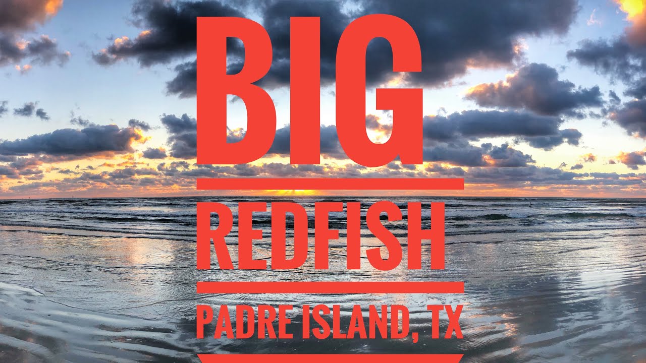 BIG Redfish from the surf! Padre Island, Texas (day 1)