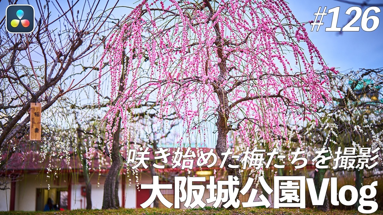 【ゆるVlog】大阪城公園Vlog | ep126