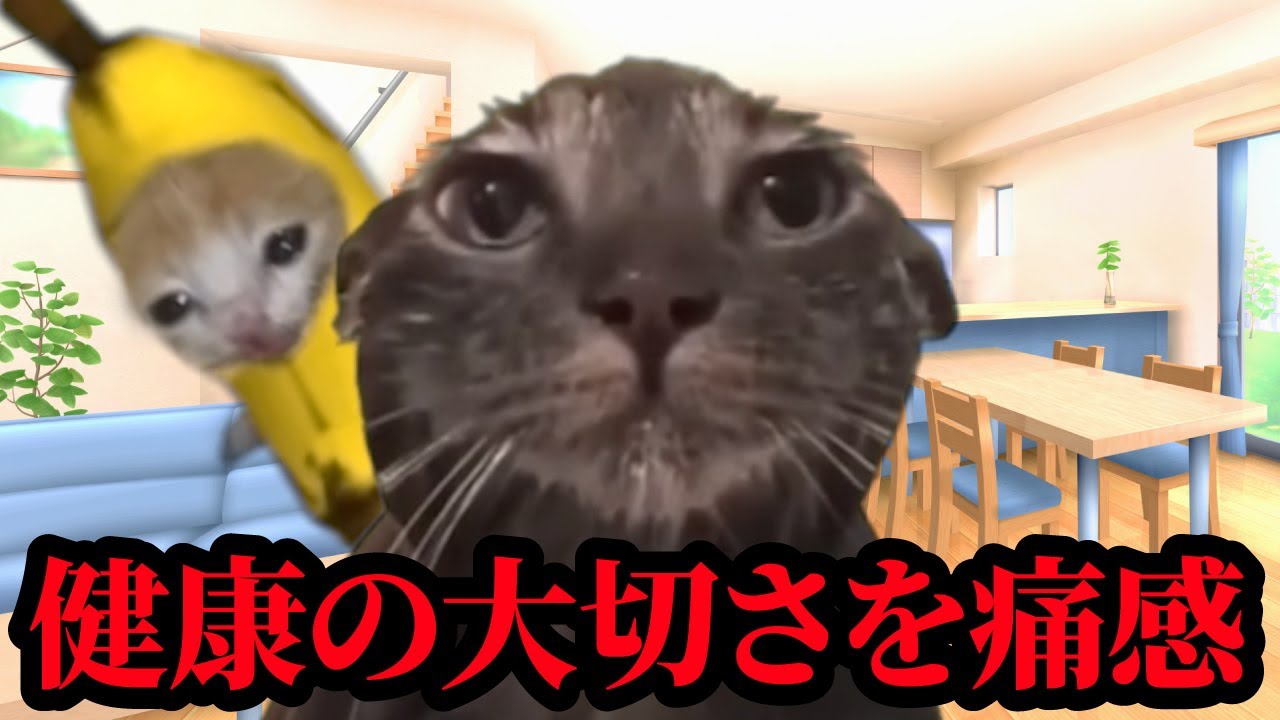 健康の大切さを痛感するワイと旦那氏 #猫マニ #猫ミーム