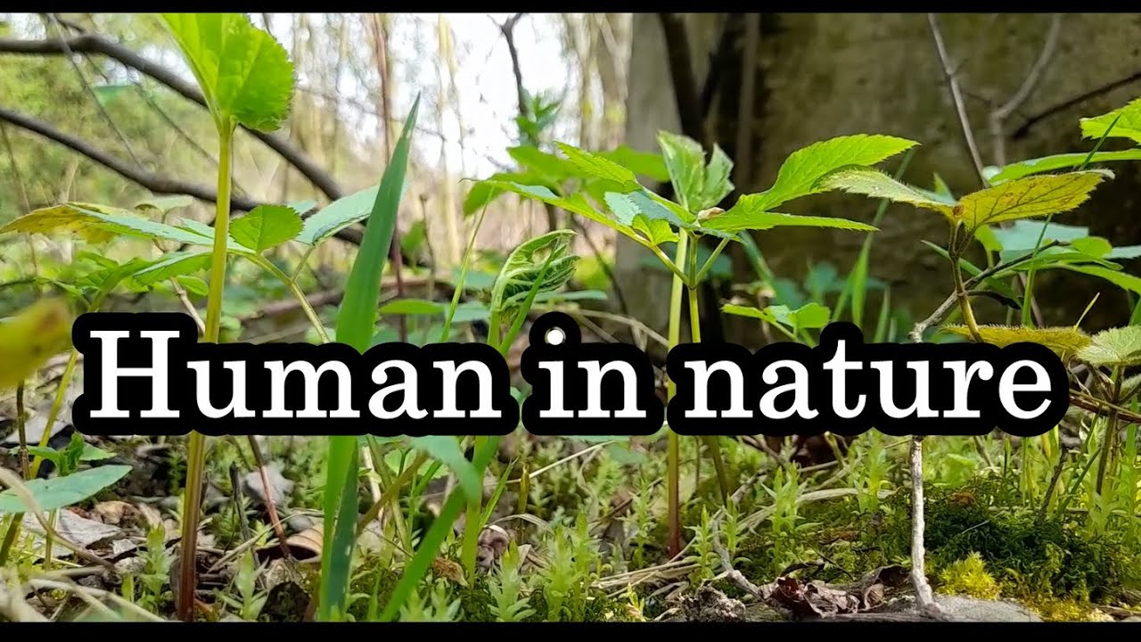 Human in nature