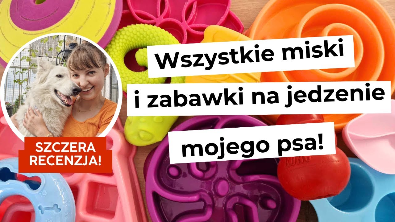 Recenzja WSZYSTKICH MISEK i ZABAWEK na jedzenie mojego psa!
