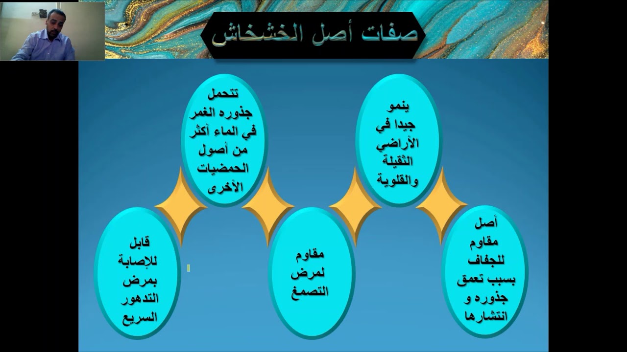 الحمضيات/م.محمود حسين العلامي