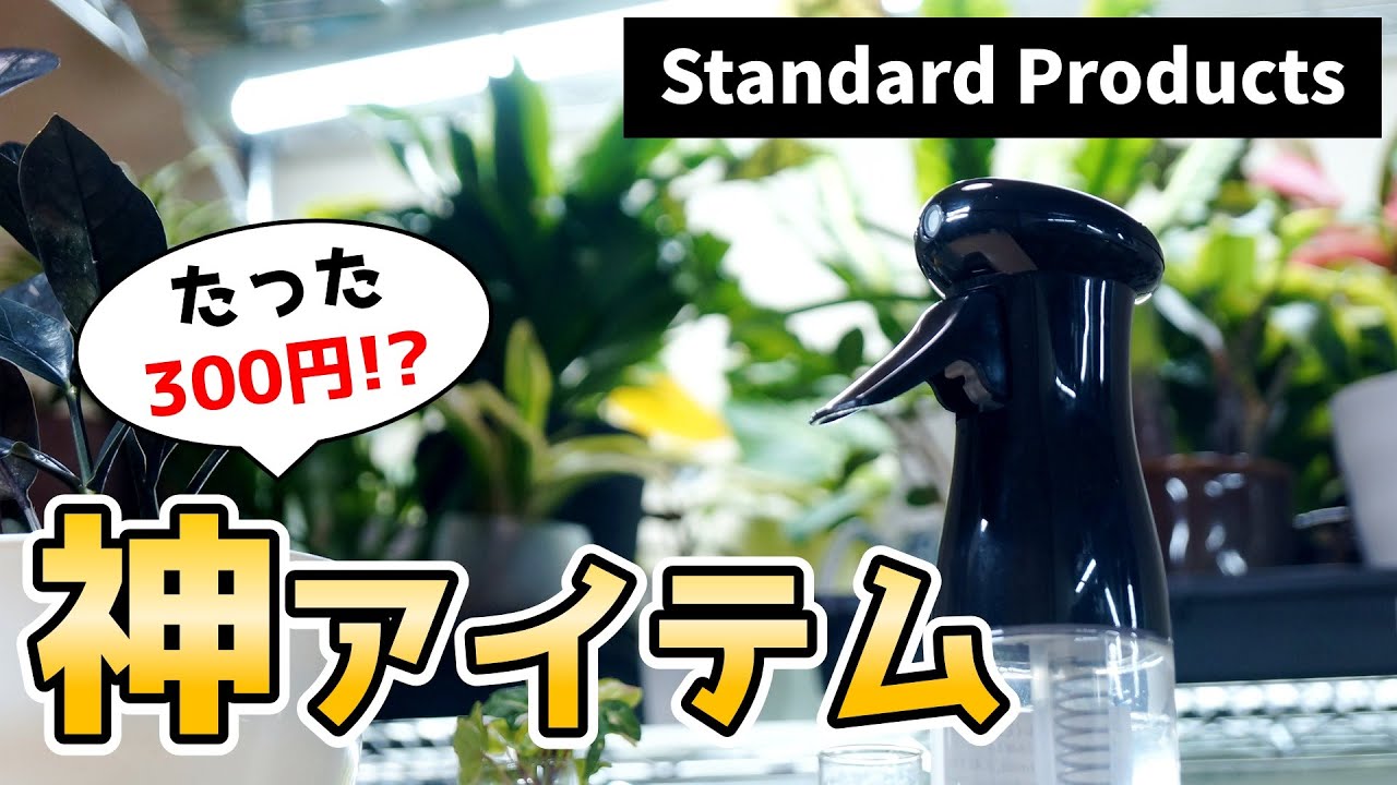 観葉植物の葉水に”別格の実力”！最強高コスパ霧吹きがこちら♪【マイクロミストスプレー】