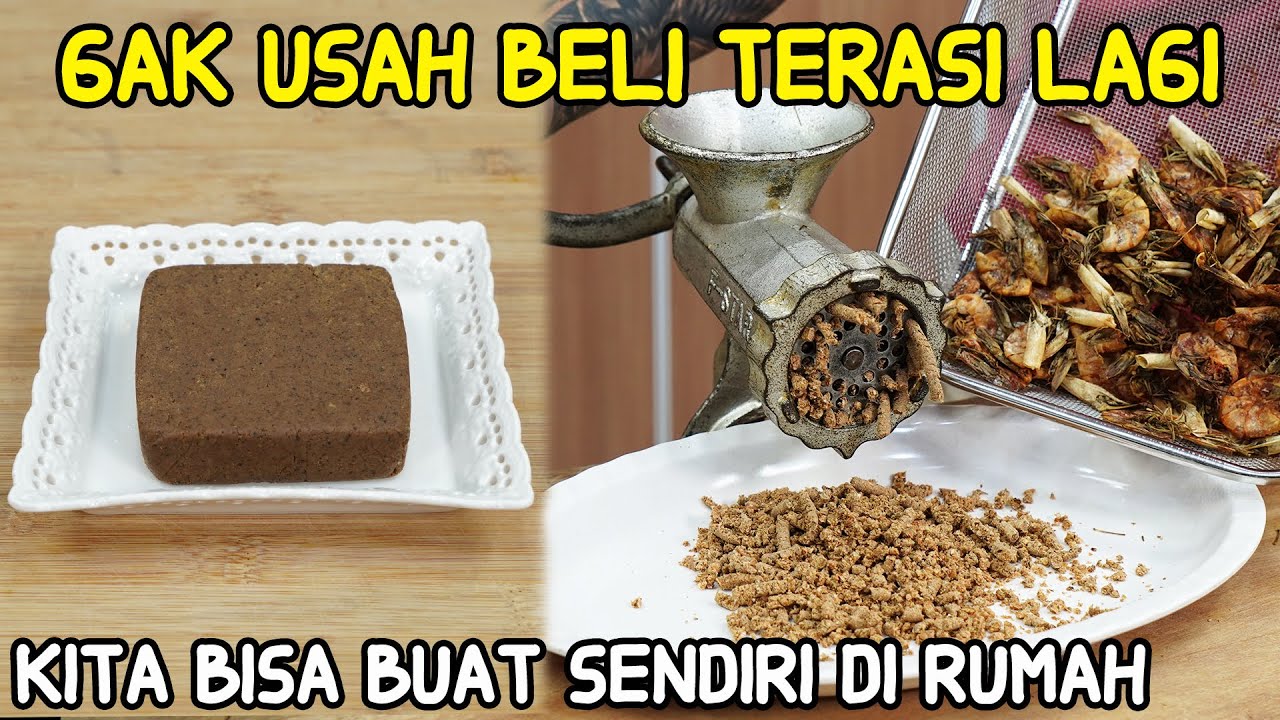 Gak Usah Beli Terasi Udang Lagi Kita Bisa Bikin Sendiri Di Rumah