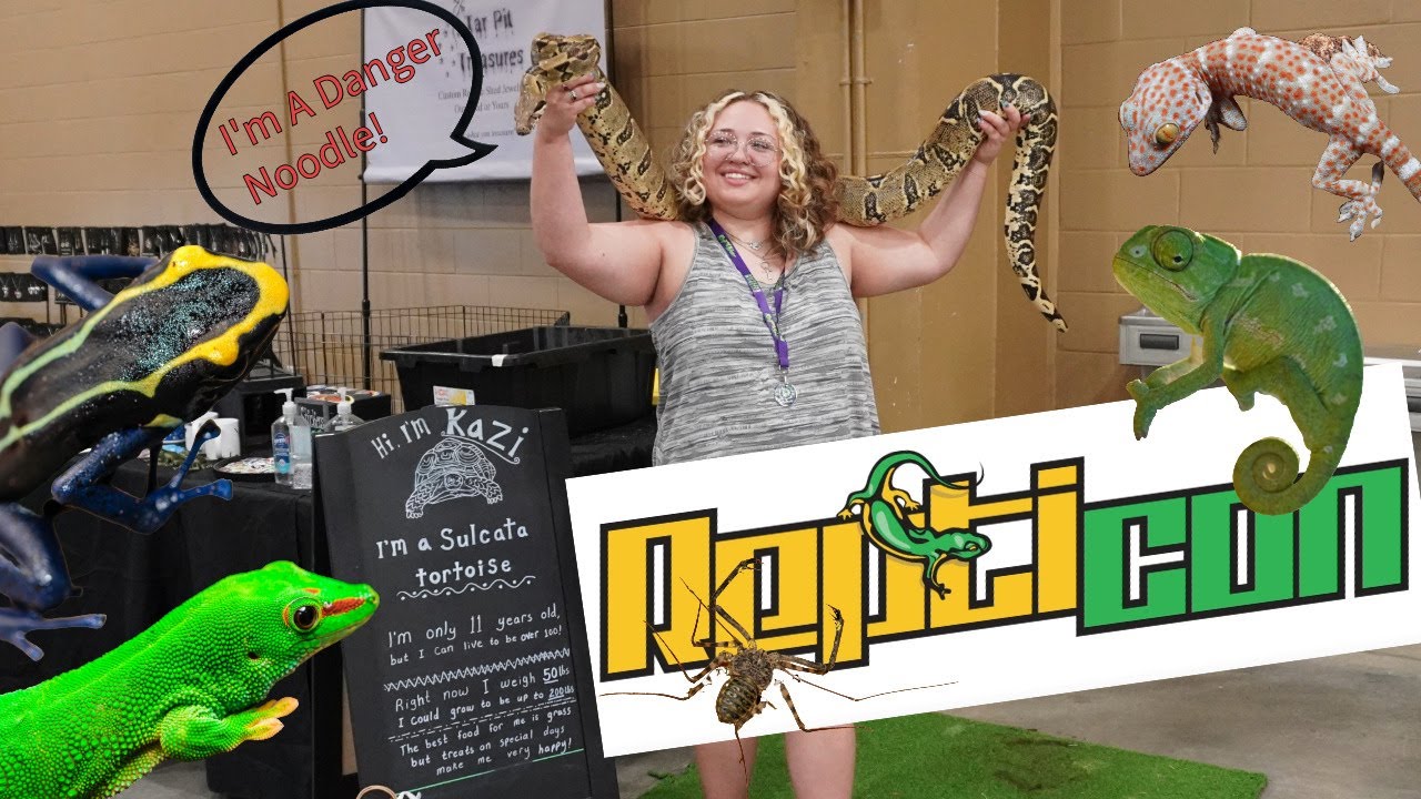 Best Reptile Show We Have Been to in Florida Yet! | Repticon Kissimmee Florida