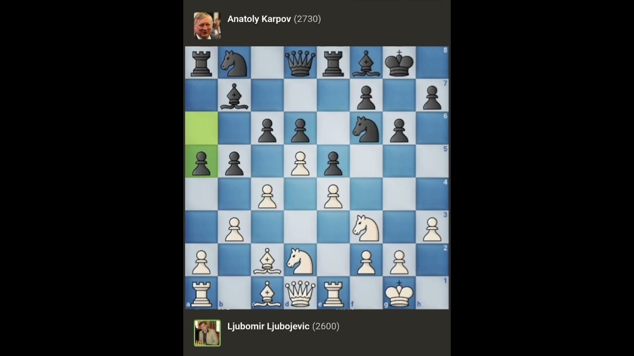 Ljubomir Ljubojevic vs Anatoly Karpov √ It (Cat.17) | Linares - Spain, 1991.