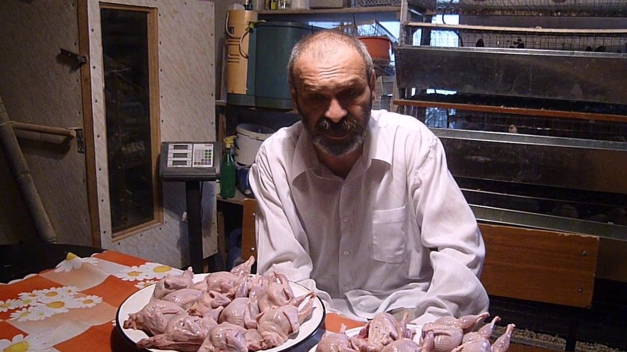 День 42. Первые жертвы аппетита. От А до сковородки.