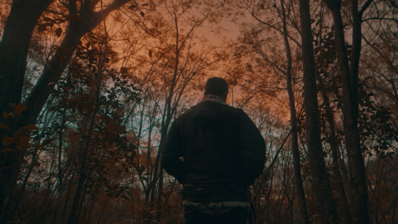 Nicola Cruz - Cap. 11