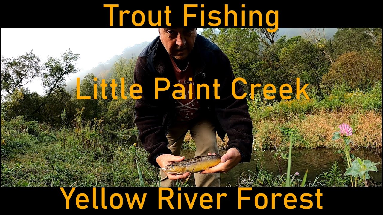 Trout Fishing - Little Paint Creek - Yellow River Forest