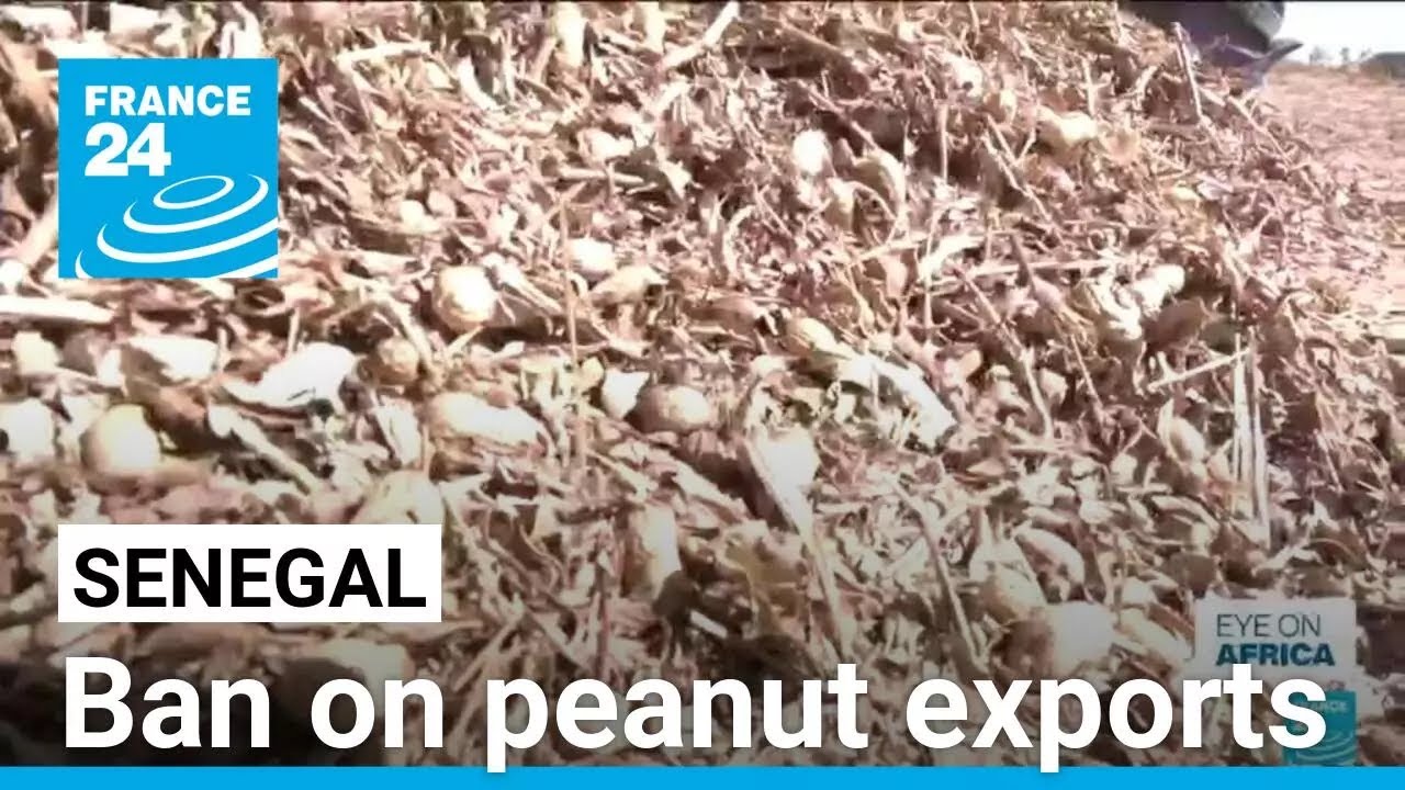 Senegal bans peanut exports in bid for food sovereignty • FRANCE 24 English