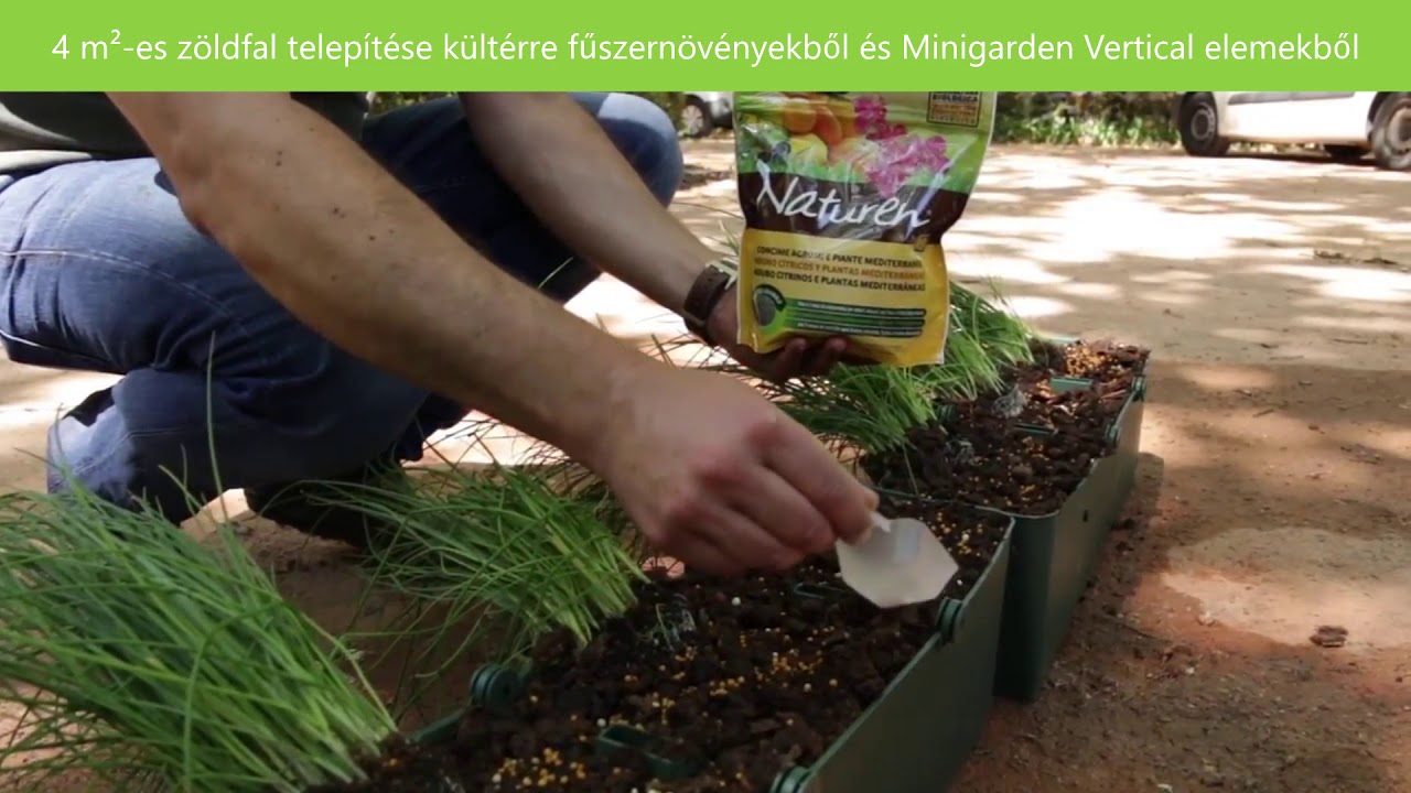 4m2-es Élő növényfal építése kültérre fűszernövényekből | Minigarden.hu