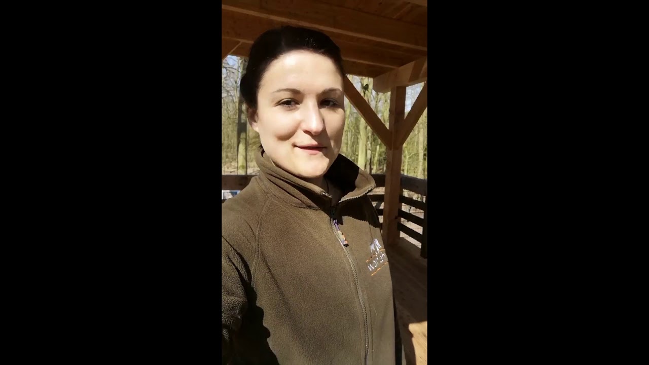 Rundgang durchs Wolfcenter Dörverden