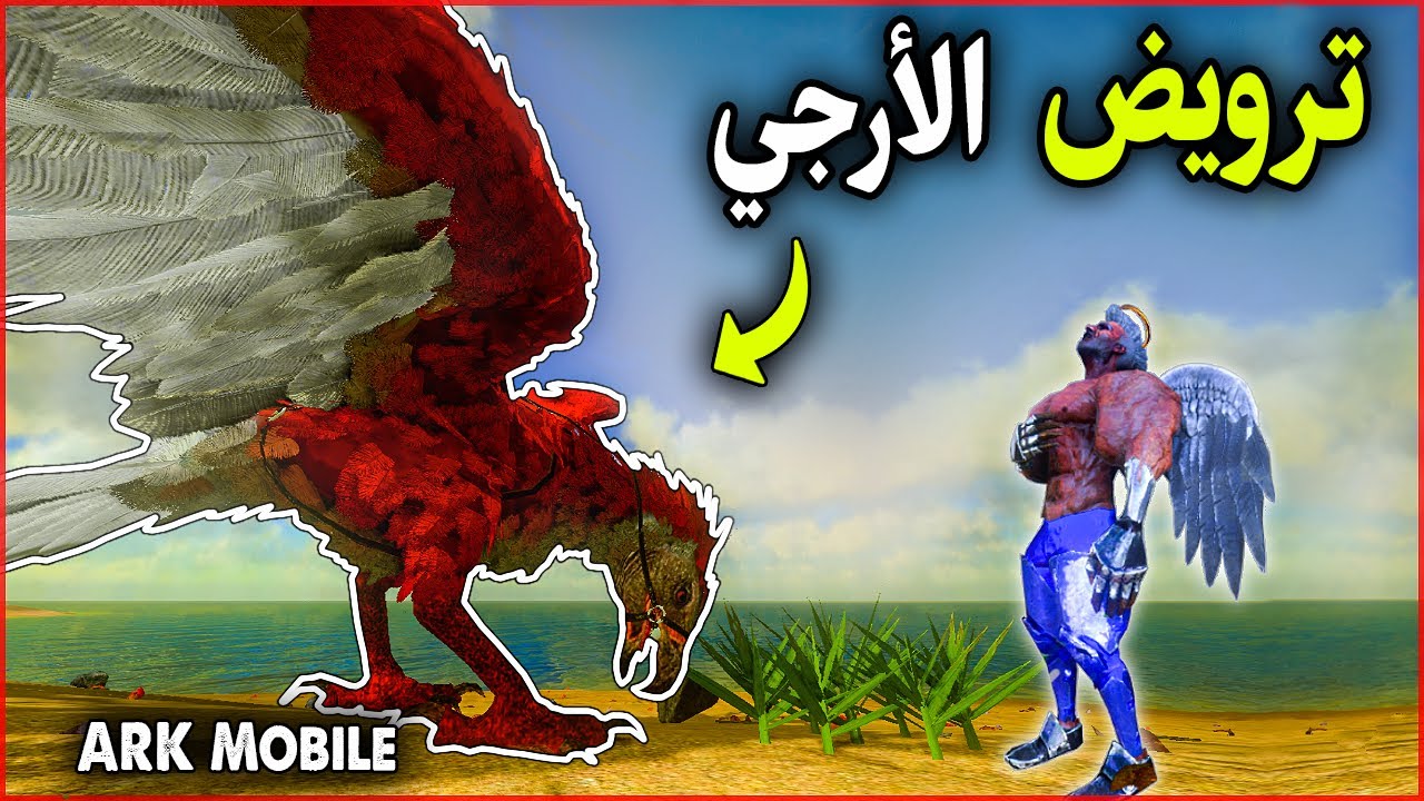 ارك موبايل: شرح ترويض الارجي(الصقر🦅)🔥 ARK Mobile