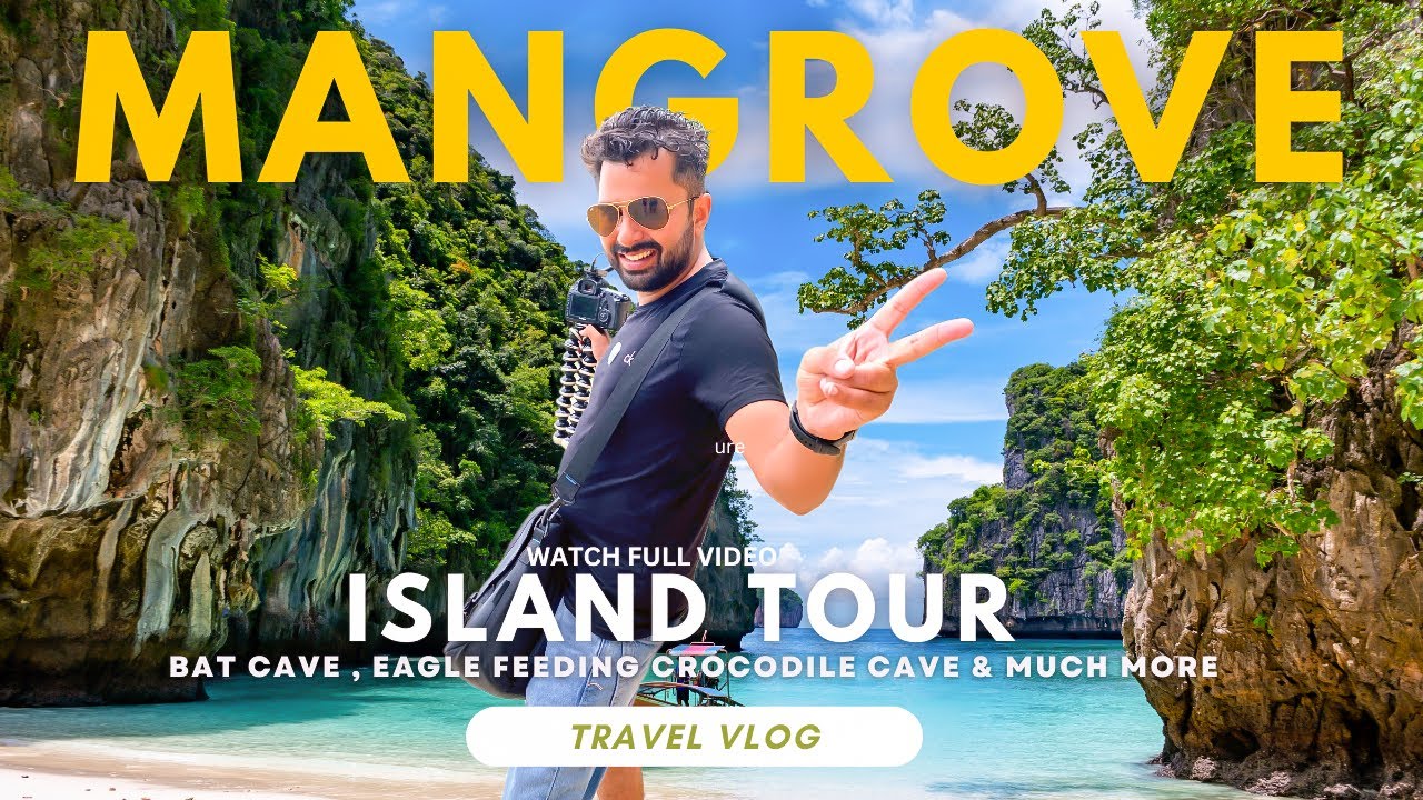 Mangrove Tour langkawi🏝️ . Bat cave, Eagle feeding, Crocodile cave. Is it worth?