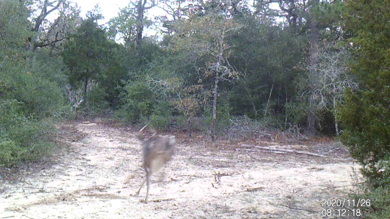 Northstar Ranch, 6 seconds and counting..