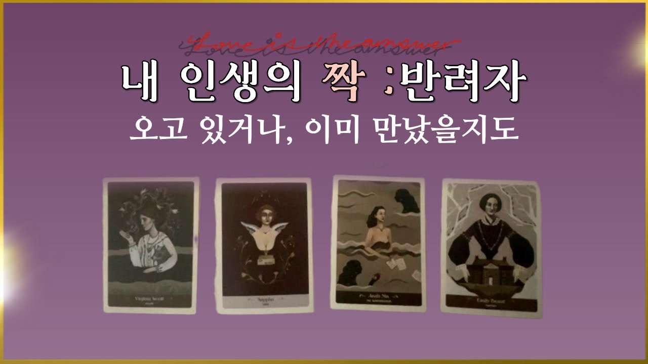 𝐓𝐀𝐑𝐎𝐓 ] 반려(伴侶)_나의 짝이 될 사람_연인, 배우자, 소울메이트, 트윈플레임 𝐞𝐭𝐜. 성향과 관계성, 조언까지💎
