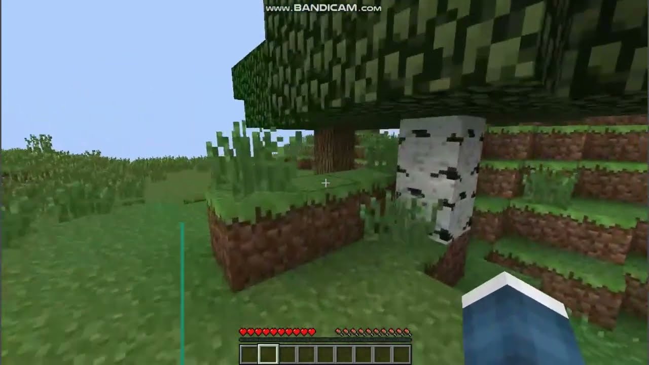 Minecraft ama k&uuml;t&uuml;k bloğuna dokunursam video biter