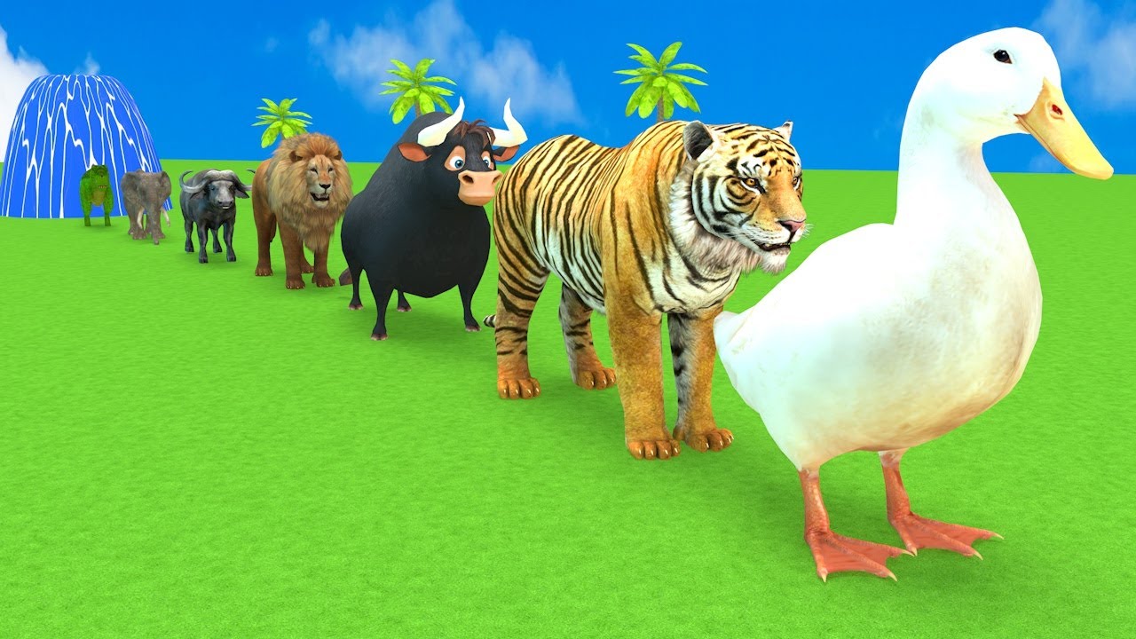 Long Slide Game With Cow Elephant Gorilla Hippopotamus Tiger 3d Animal Game Funny 3d Animals